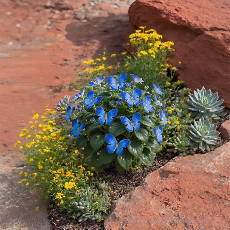 🦋 Märchenhafte schmetterlingsförmige Blumensamen ✨