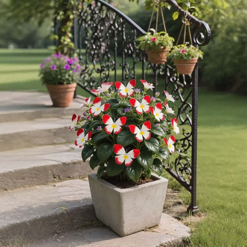 🦋 Märchenhafte schmetterlingsförmige Blumensamen ✨