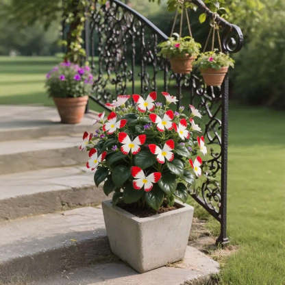 🦋 Märchenhafte schmetterlingsförmige Blumensamen ✨