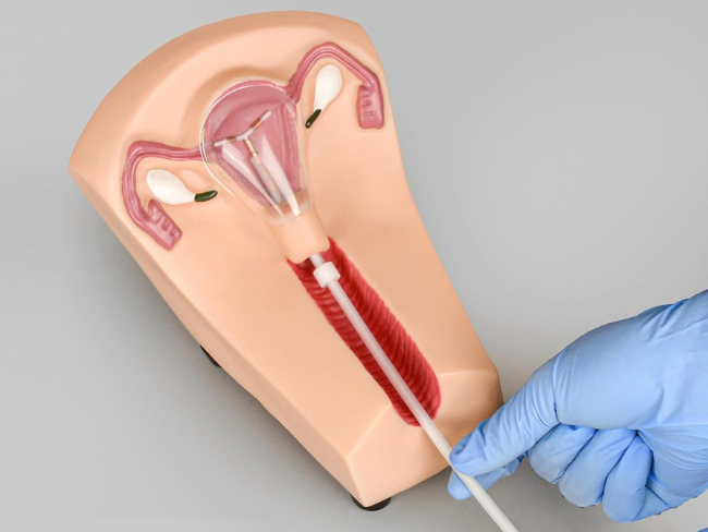 {"default":"IUD Replacement Training Models"}
