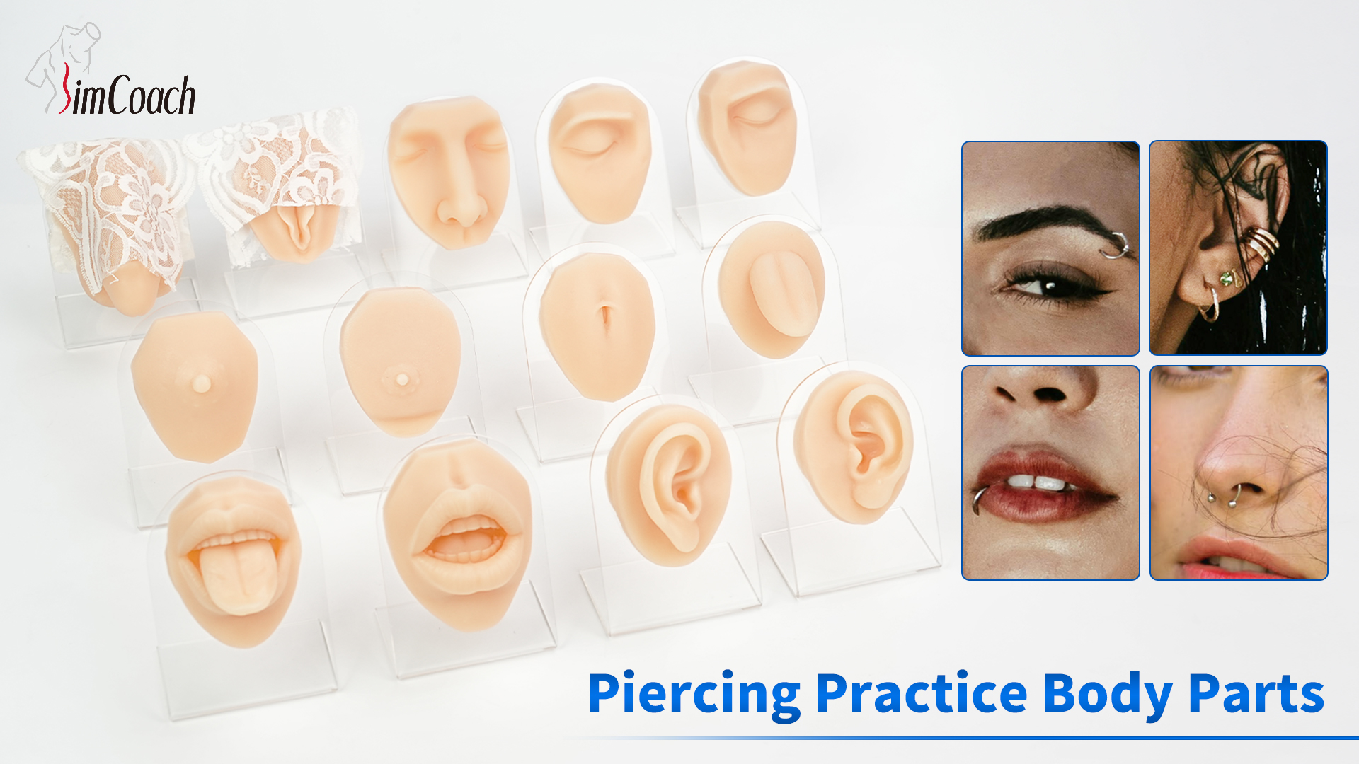 SimCoach Piercing Practice Body Parts