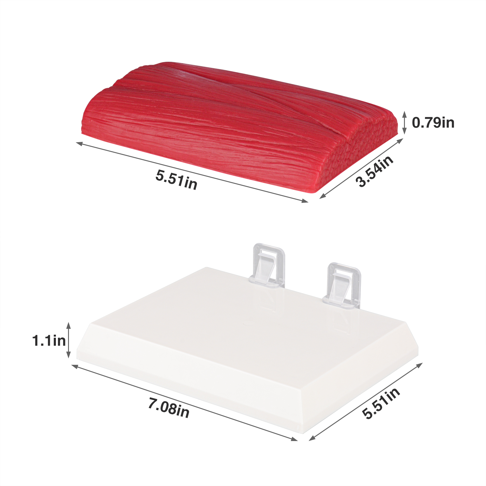 The Dimension of 1 LB Muscle Replica with its Base