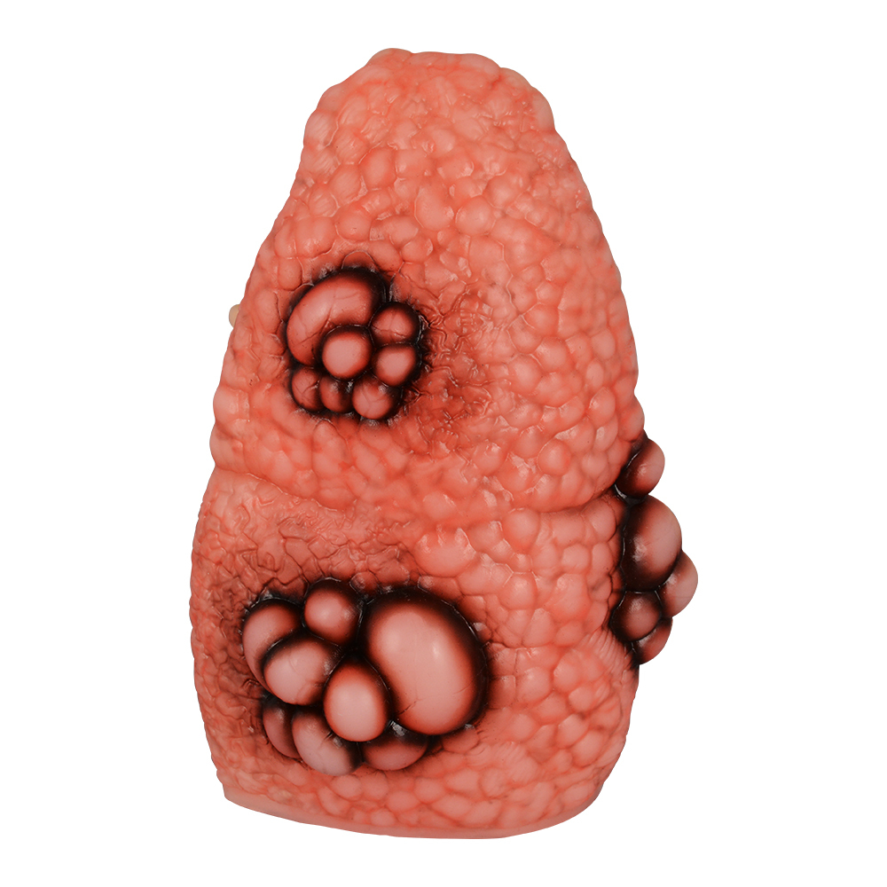 Cough Up Anatomical Lung Model (1 Pair)