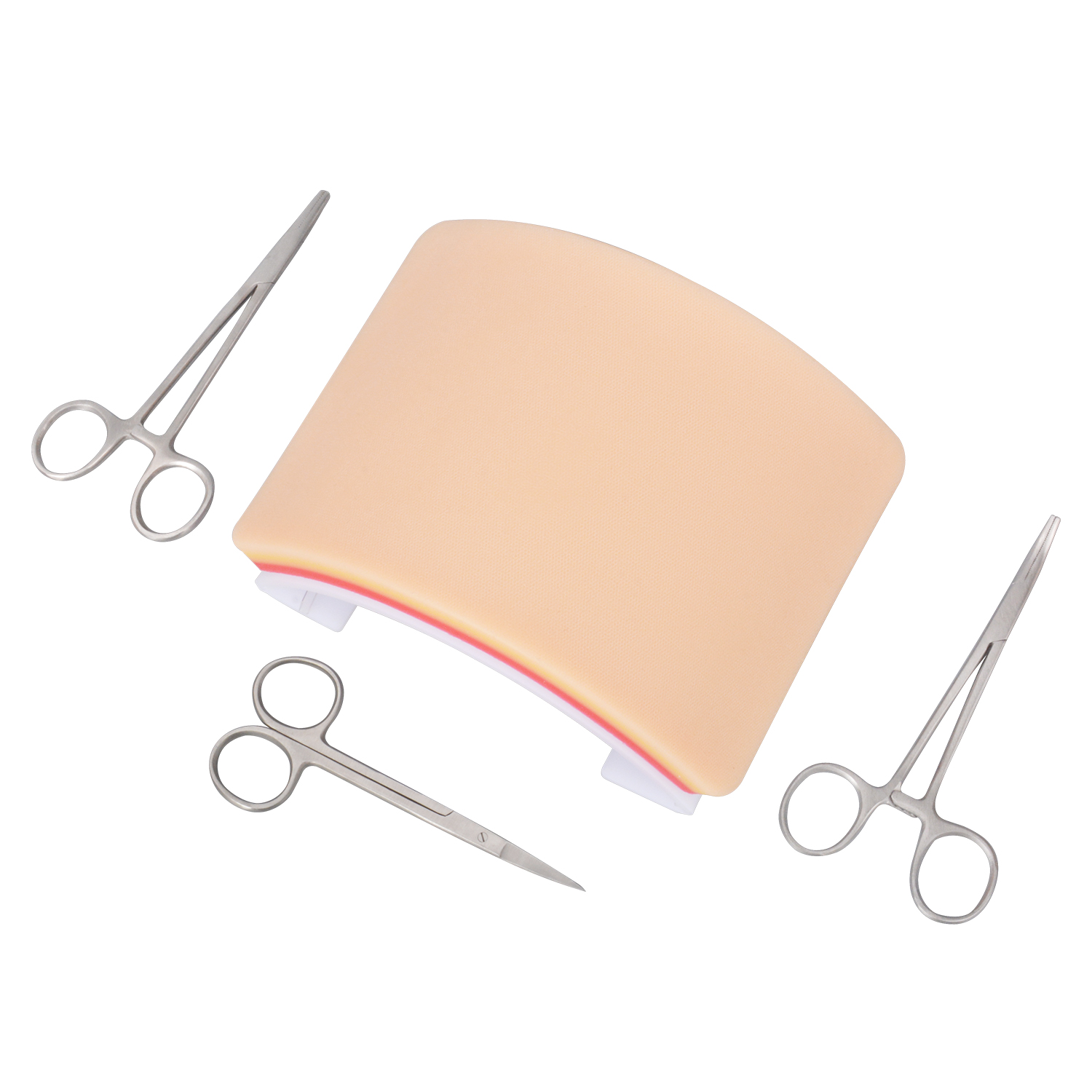 Arched Base Suture Training Model