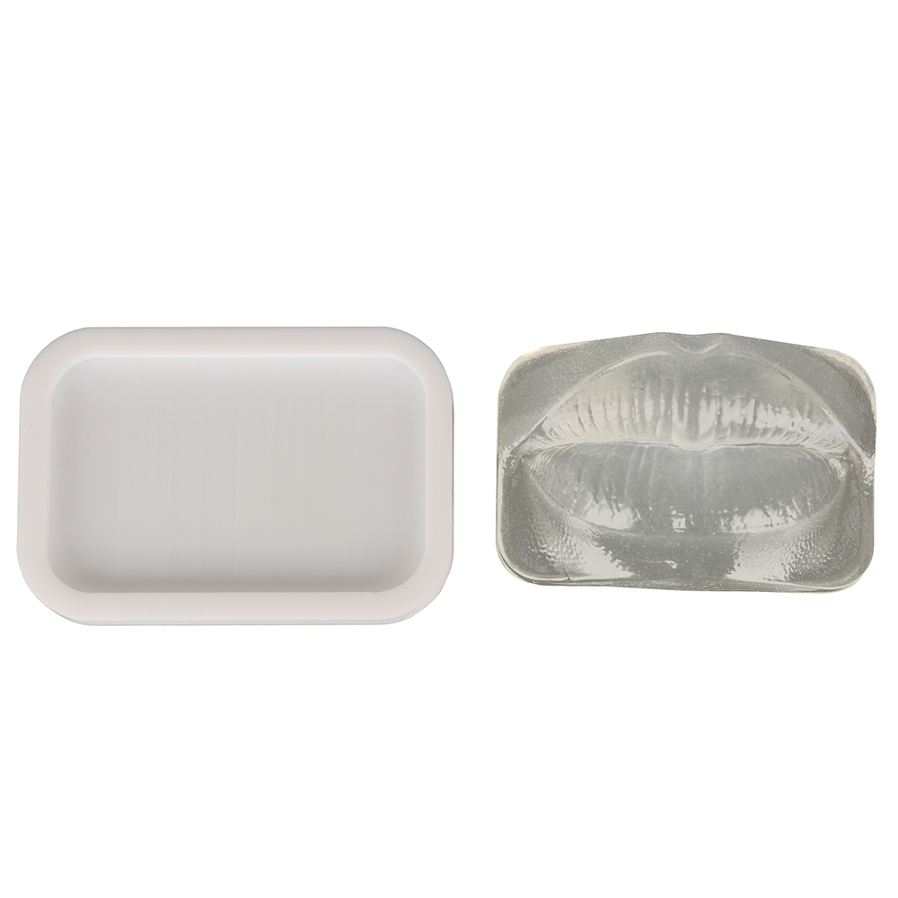 Reusable Lip Injection Training Model With Anti-Slip Base