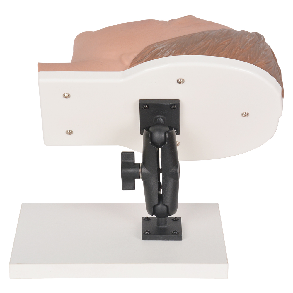 Realistic Male Face Model For Injection Training