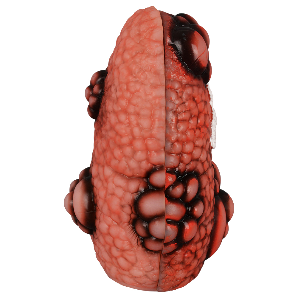 Cough Up Anatomical Lung Model (1 Pair)