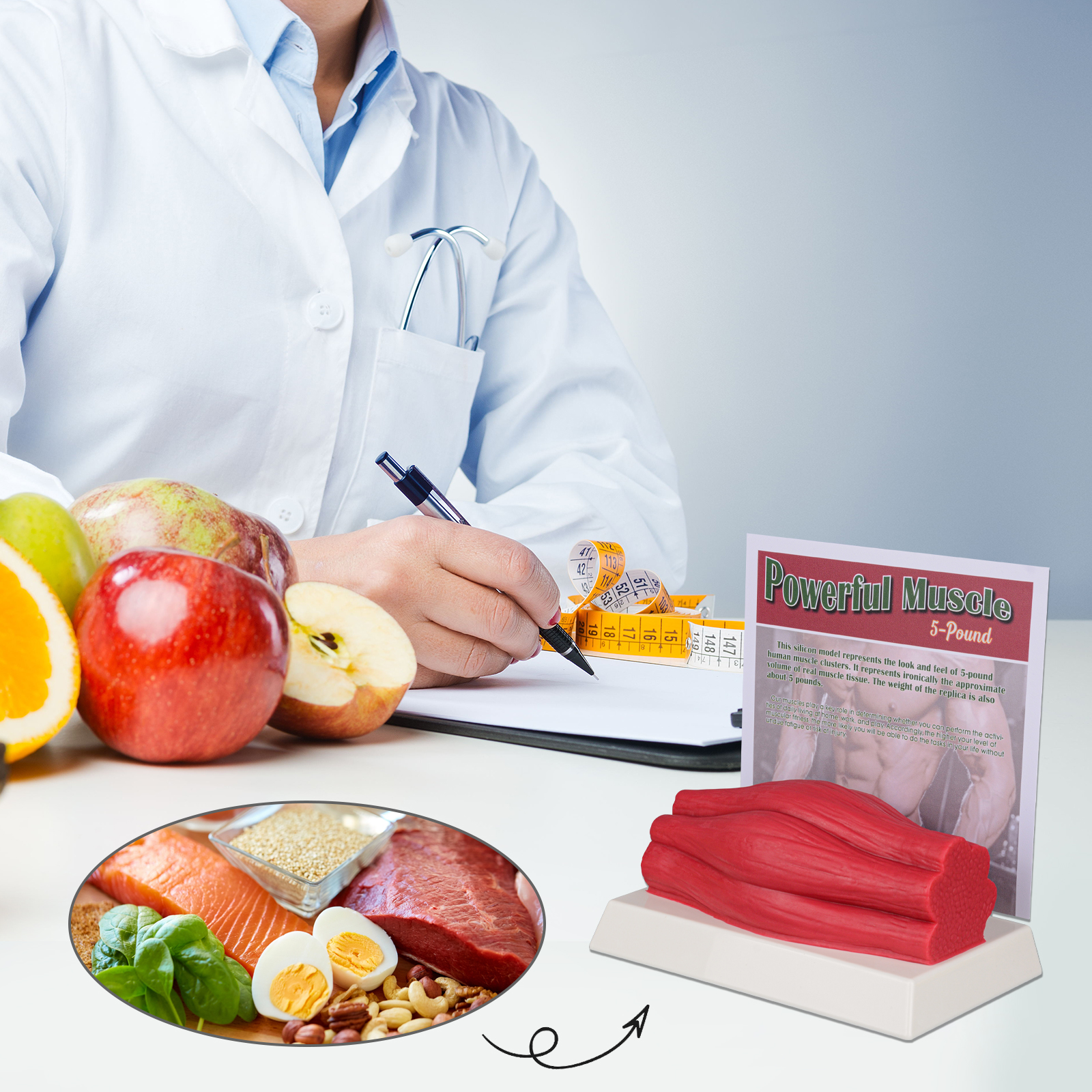 SimCoach Human Body Muscle Replica 5 Lbs