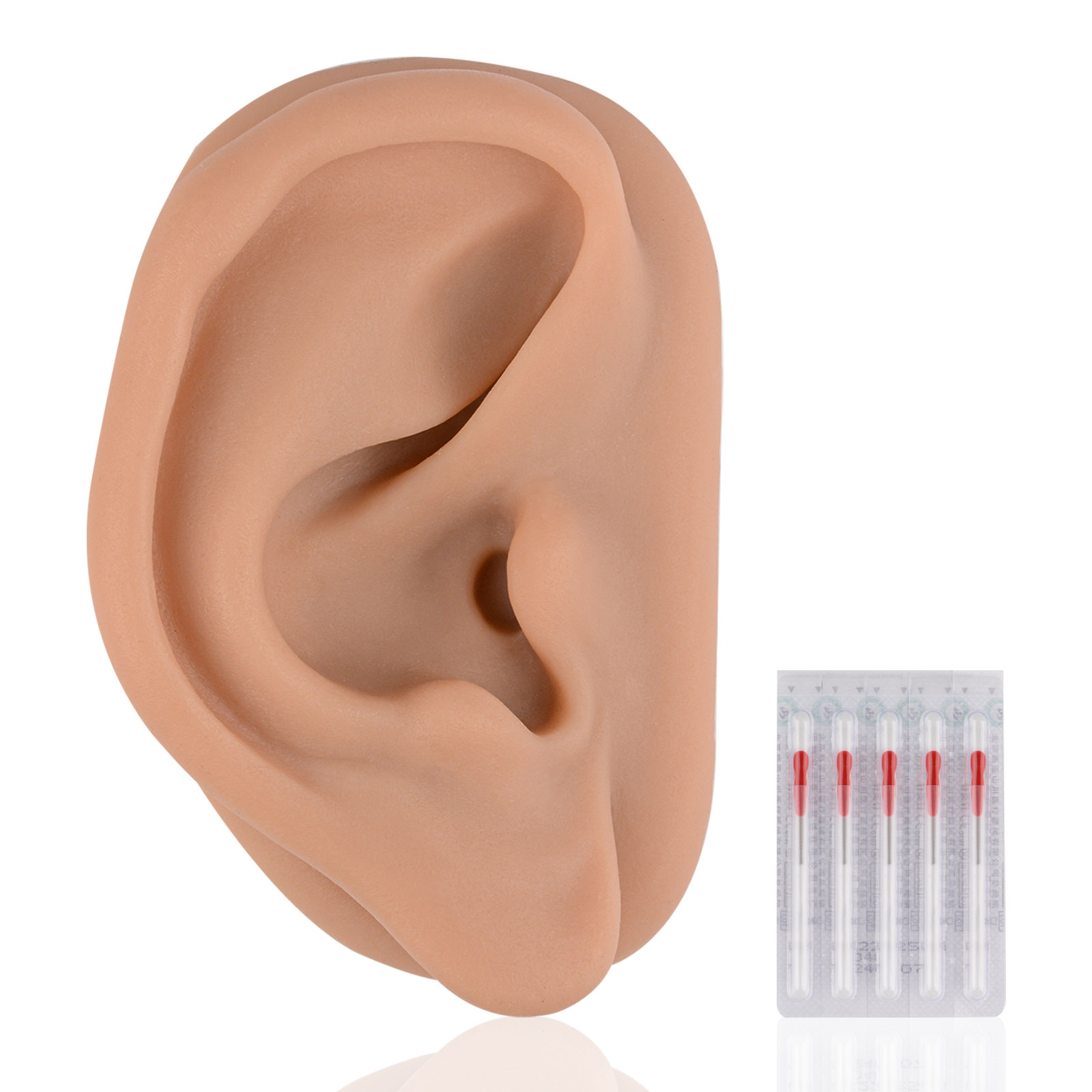 Acupuncture Ear Model, Right Artificial Ear Replica for Auricular Therapy Teaching
