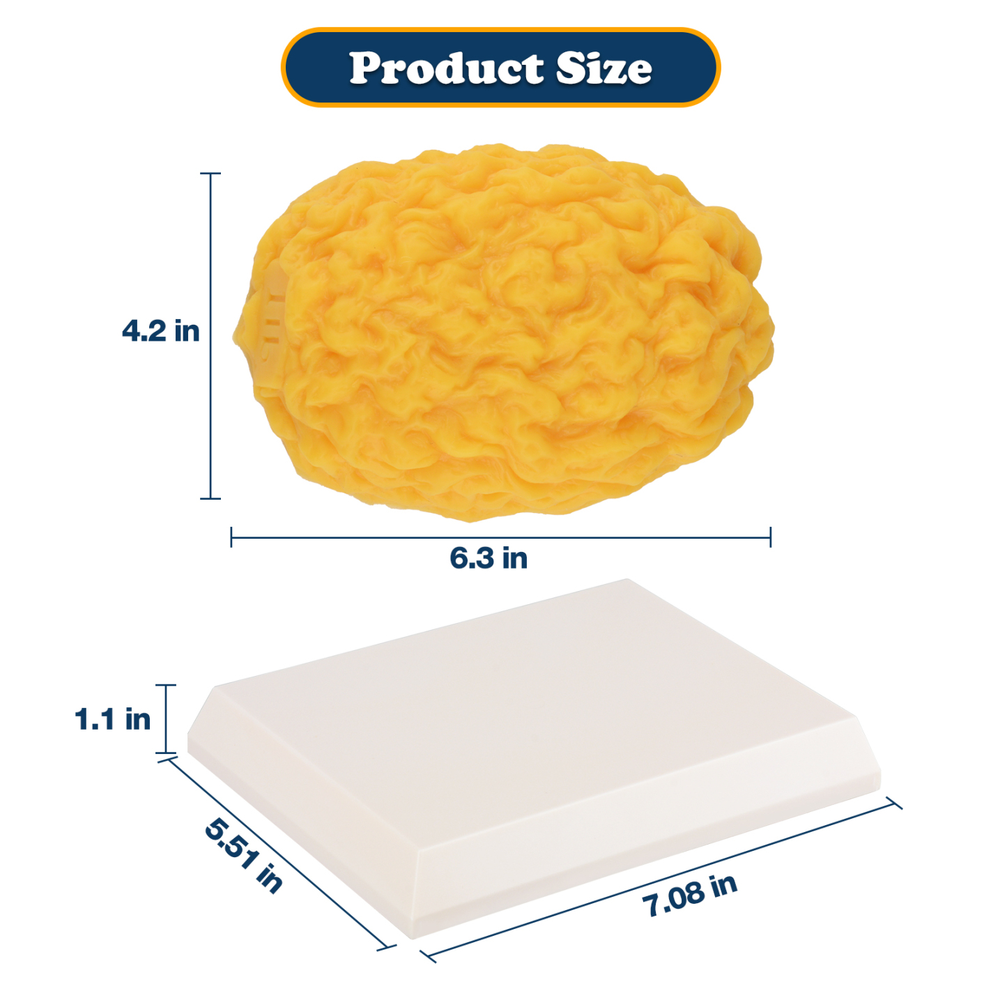 Fat Model Size Information For Reference Display