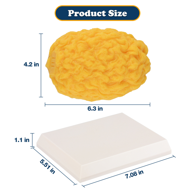Fat Model Size Information For Reference Display