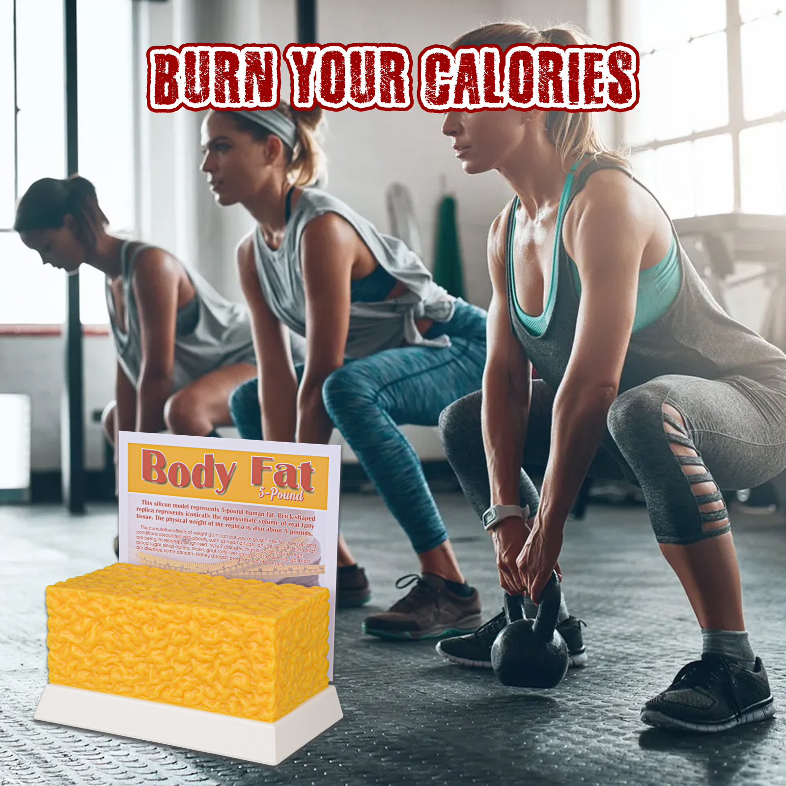 Durable And Reusable Fat Model For Training