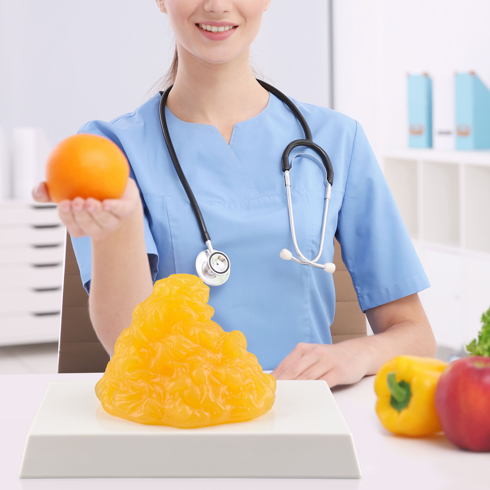 Nutrition And Health Teaching Fat Display Model