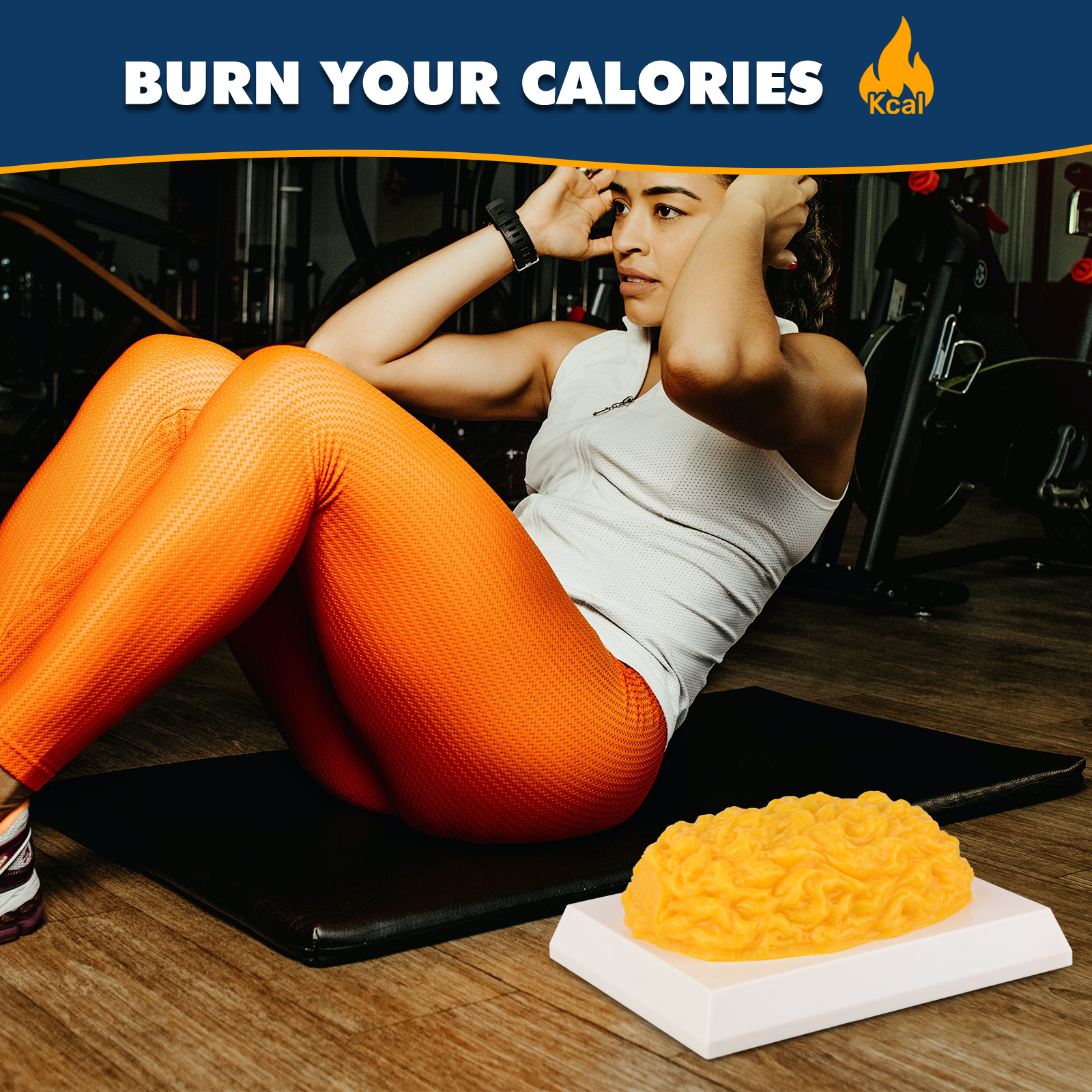 Dome Shape Fat Model With Display Base Included