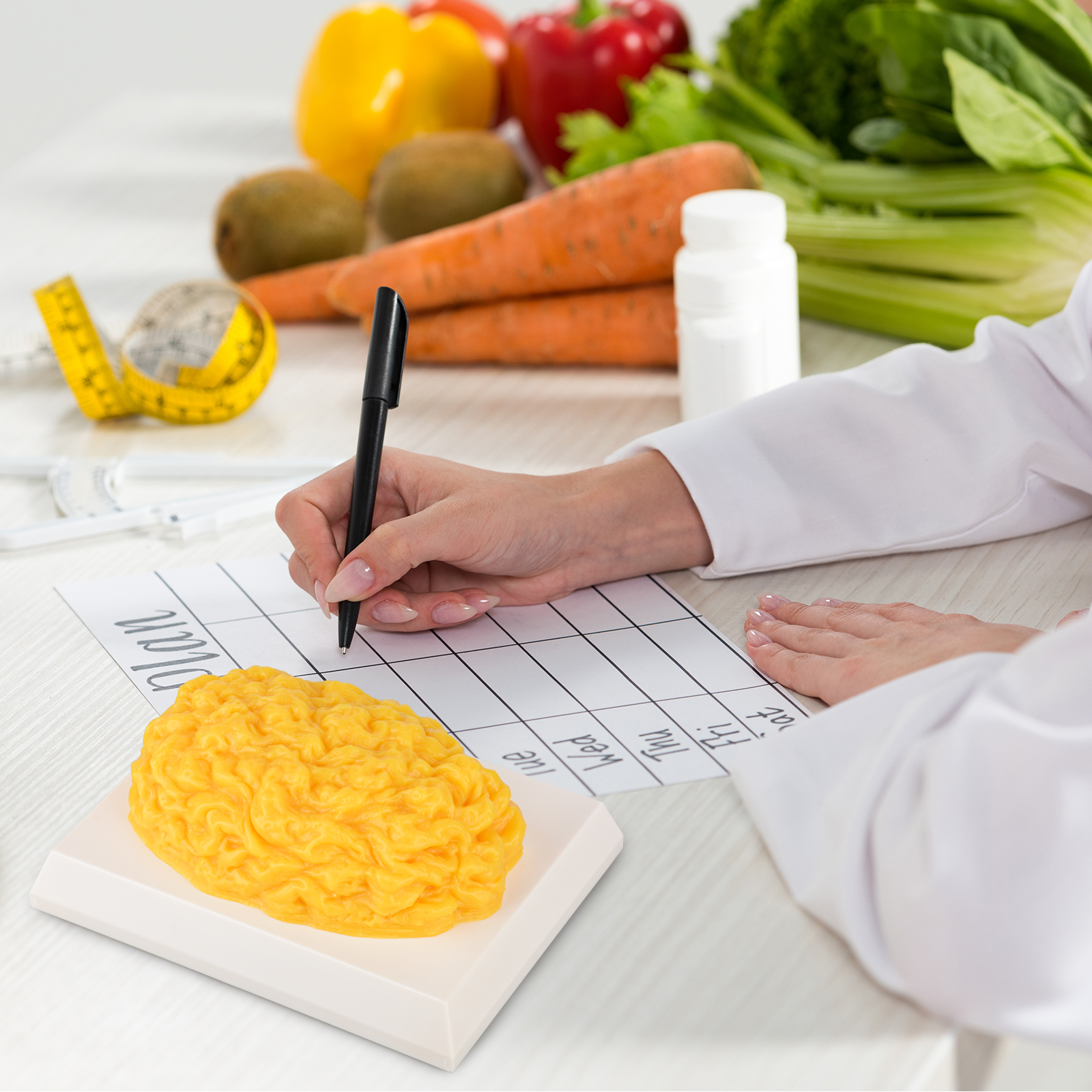 Smooth Dome Shape Fat Model For Demonstration