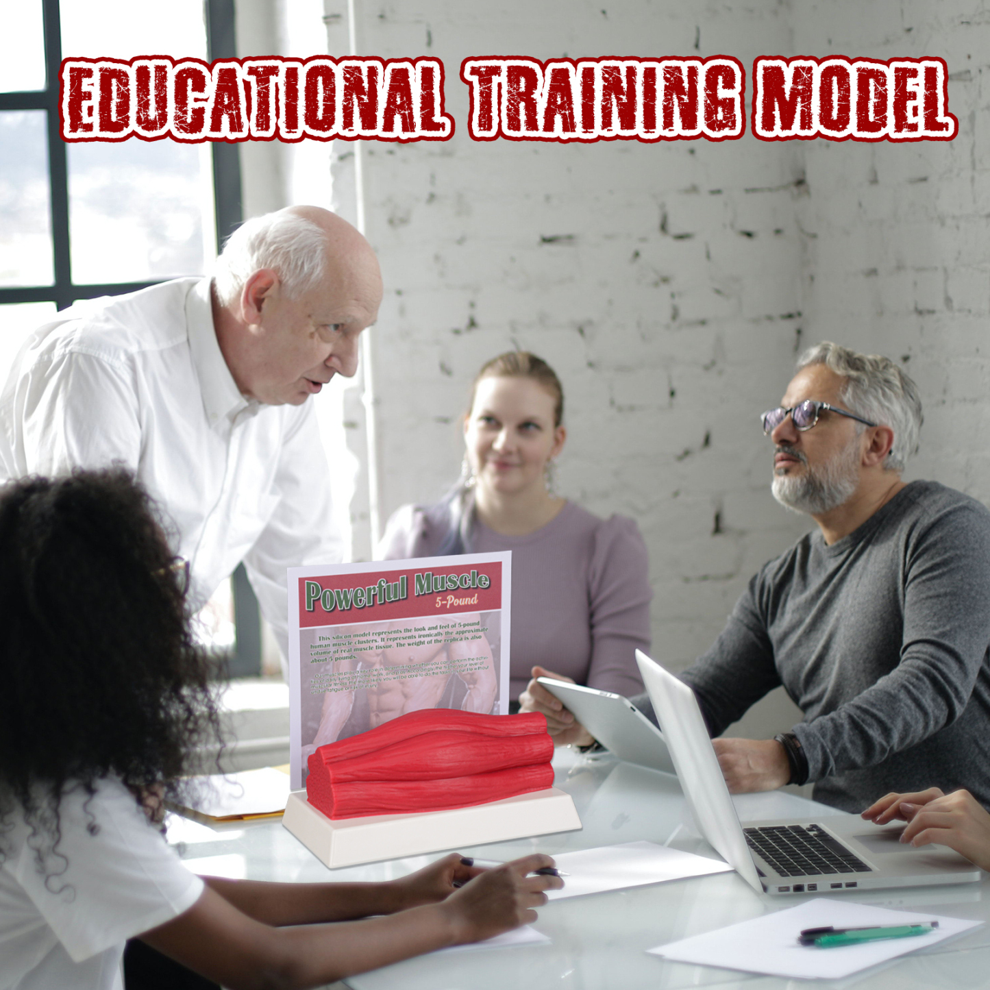 SimCoach Human Body Muscle Replica 5 Lbs