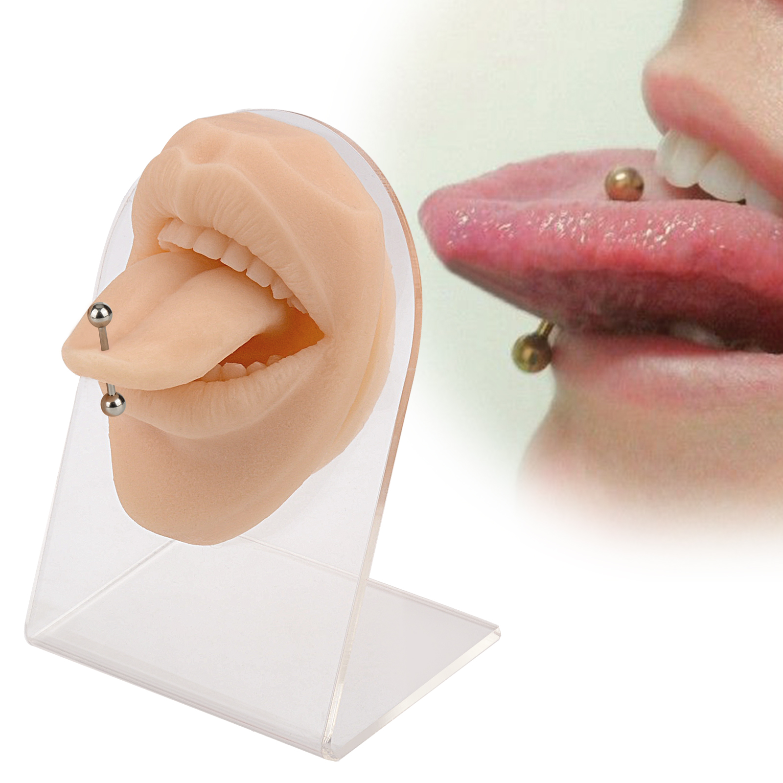 Tongue Piercing Silicone Model