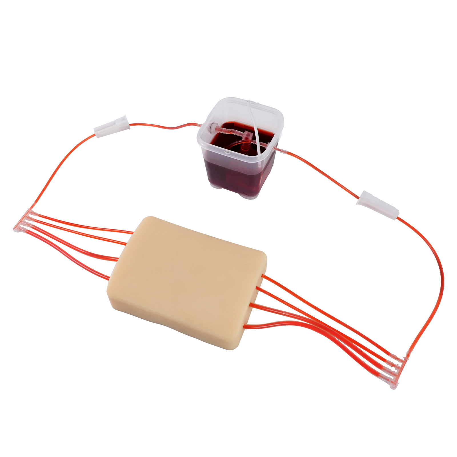 Four Vessel Circulating Blood Flow Training Simulation Model