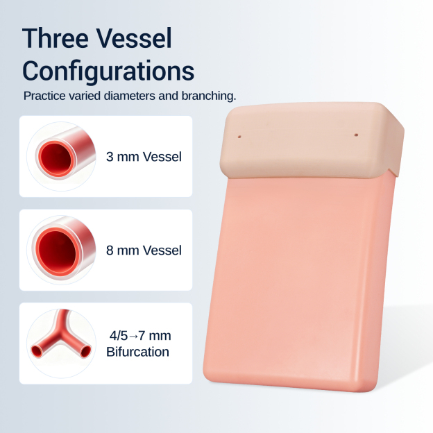 Ultrasound Vascular Access Phantom with Bifurcated Vein