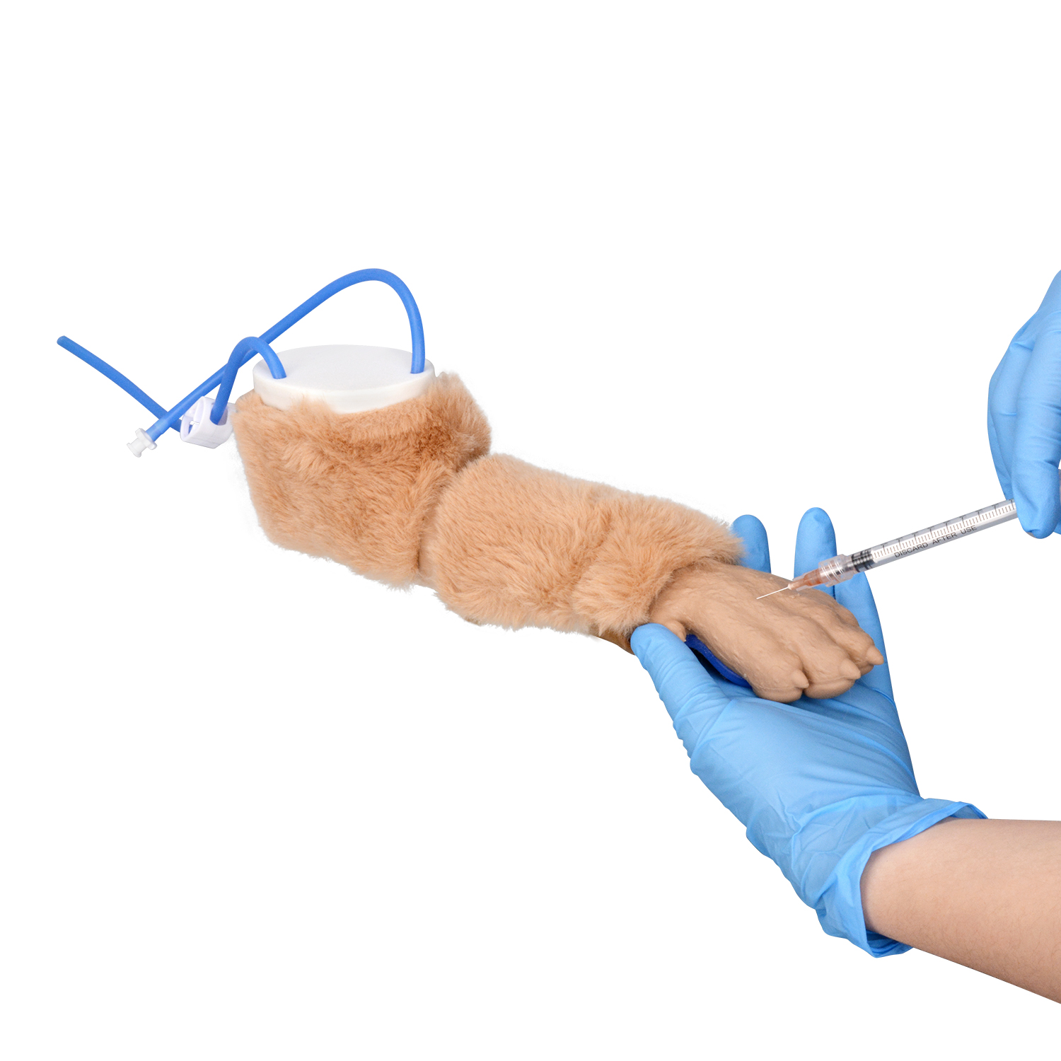 Veterinary IV Training Kit For Canine Venipuncture Practice