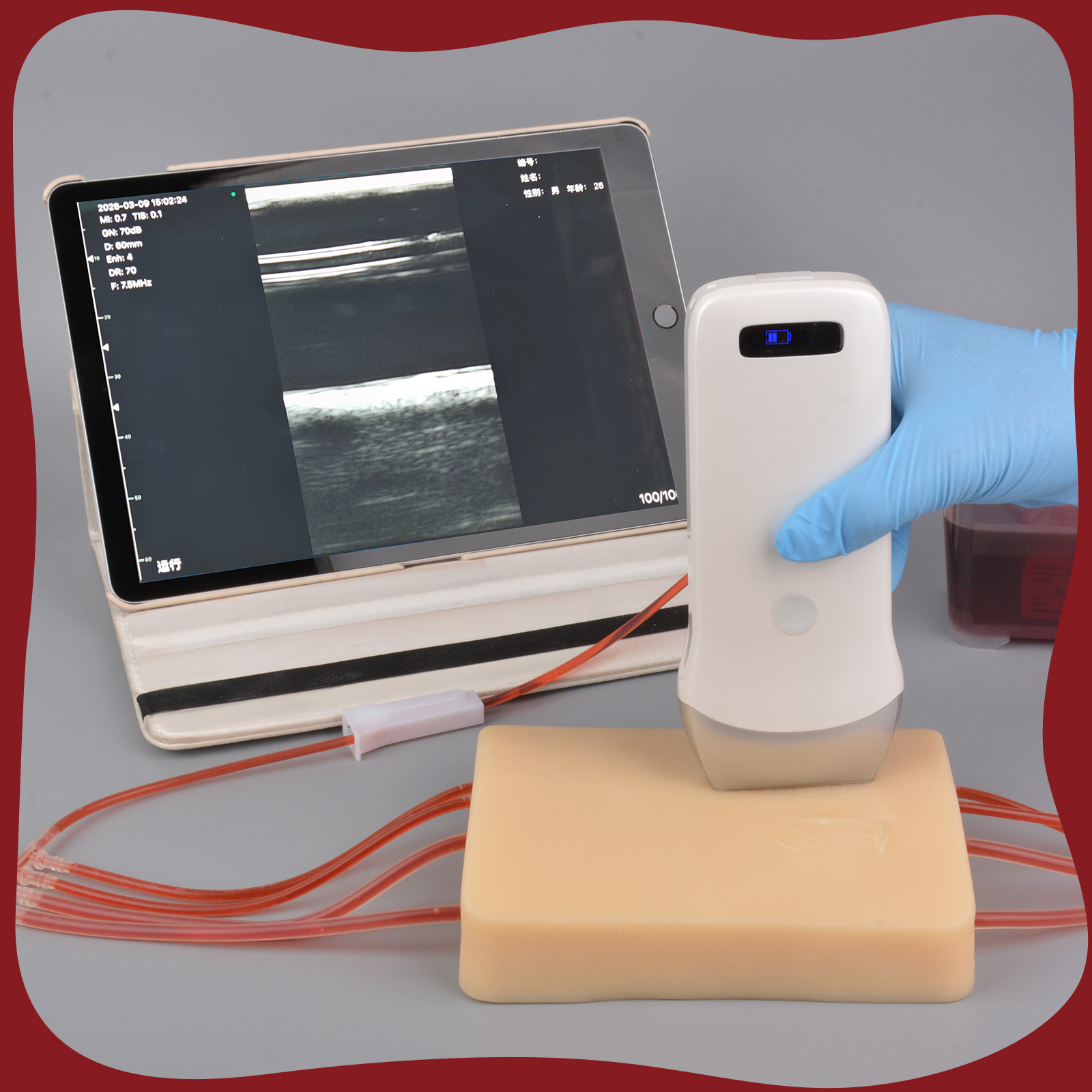 Medical Education Vascular Training System With Clear Imaging