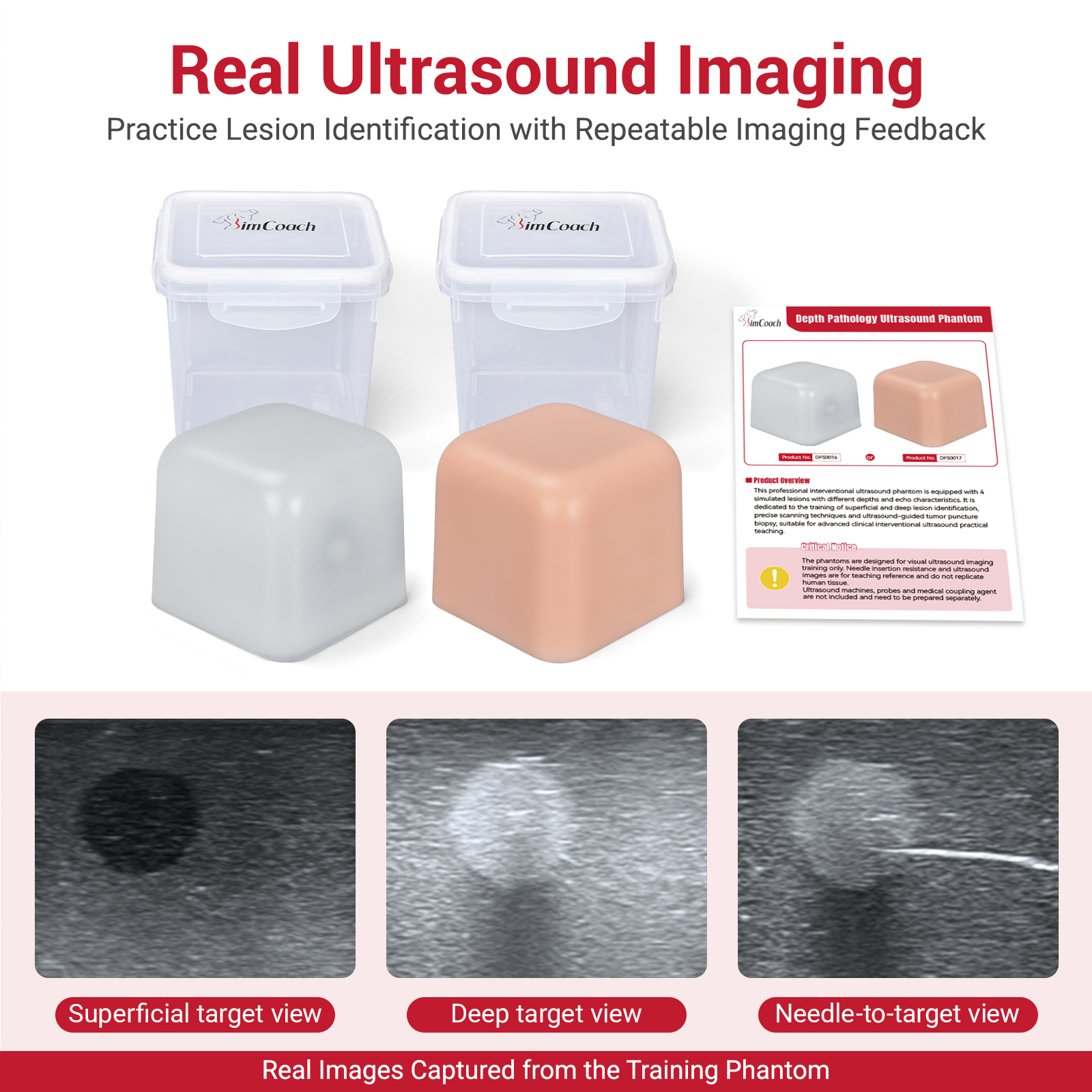 Ultrasound Biopsy Phantom Set for Lesion Detection & Needle Guidance