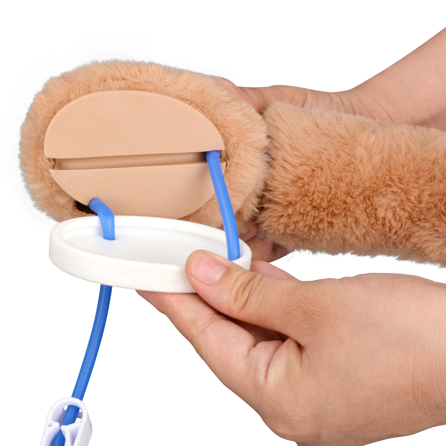 Dog Venipuncture Training Leg With Simulated Blood Flow