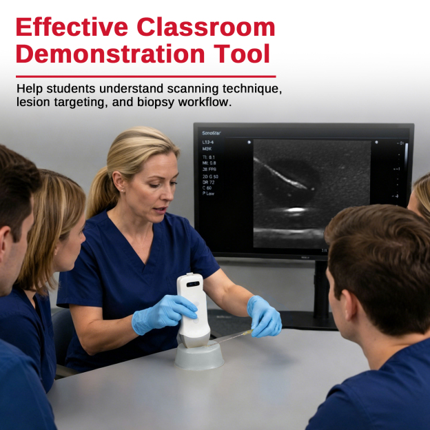 Transparent Ultrasound Guided Biopsy Trainer with Hypoechoic Lesion