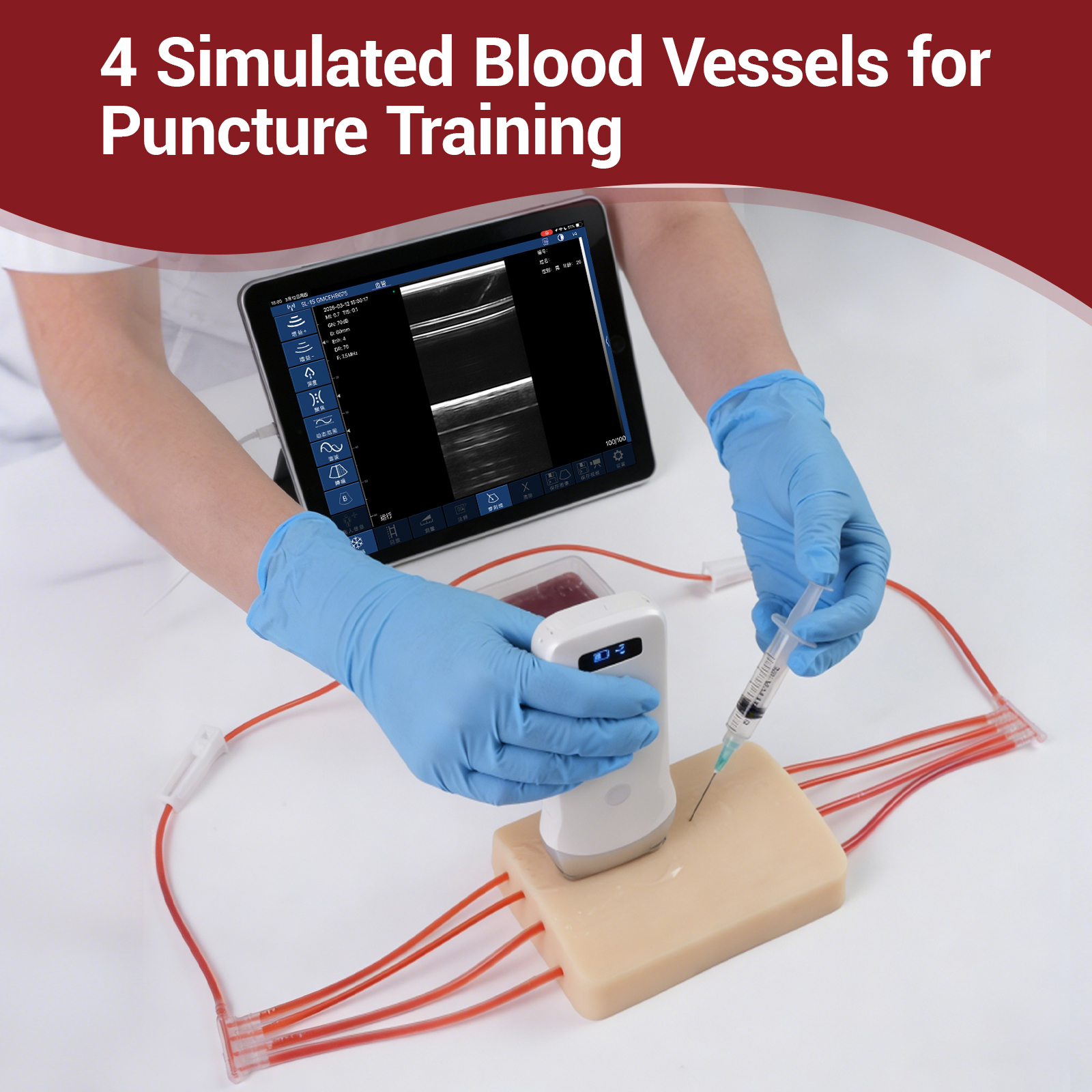 Multi Vessel Ultrasound Injection Practice Simulation Training Model
