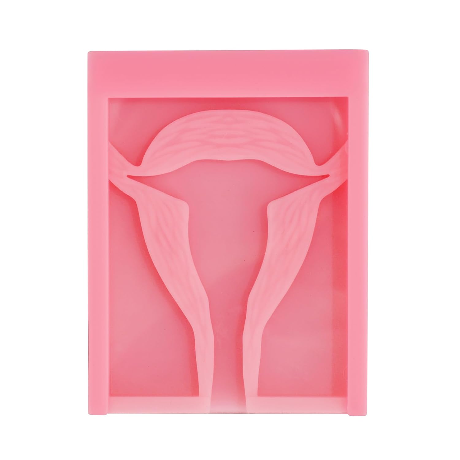 Basic IUD Training Model, Rectangular-shaped