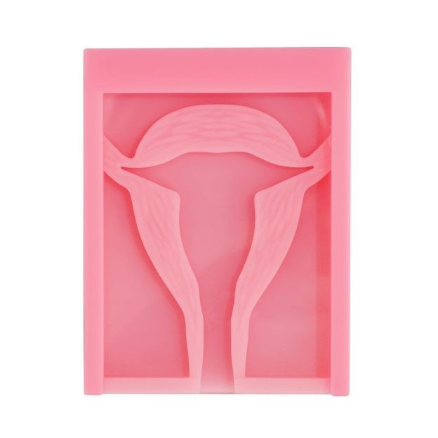 Basic IUD Training Model, Rectangular-shaped