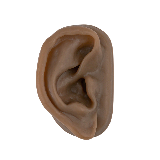 SimCoach Acupuncture Ear Model, Right Artificial Ear Replica for Auricular Therapy Teaching