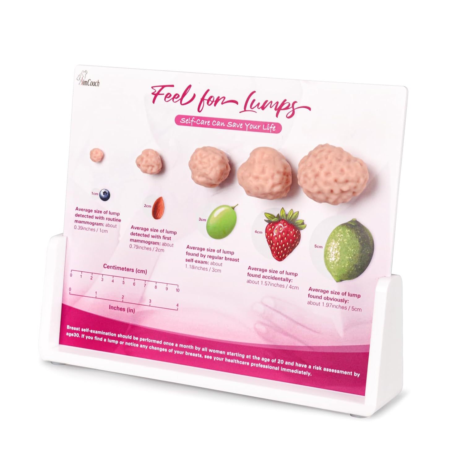 Breast Lump Display and Education Model