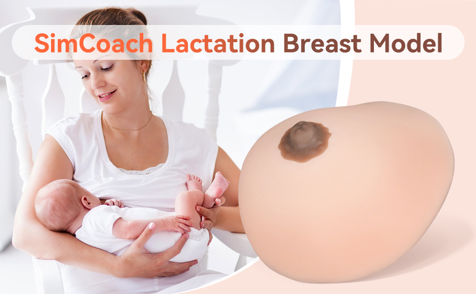 Silicone Lactation Breast Model