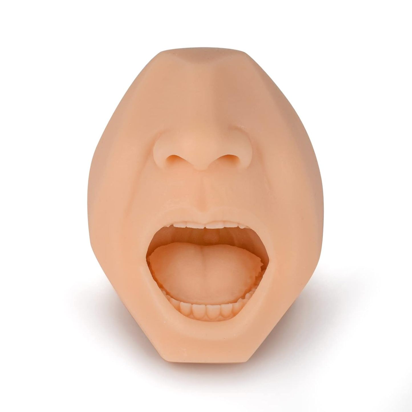 Nasal And Throat Swab Training Model (White)