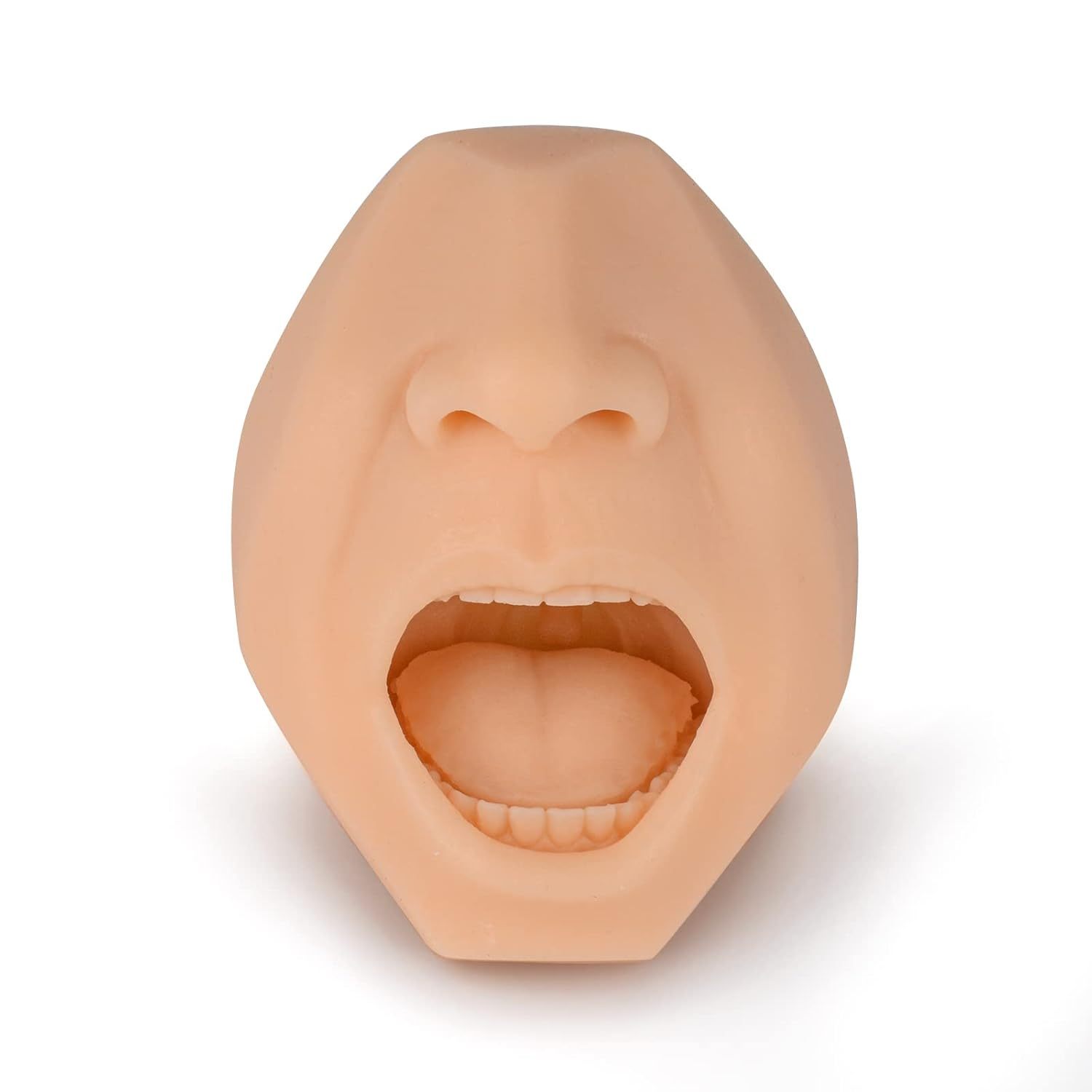 Nasal And Throat Swab Training Model (White)