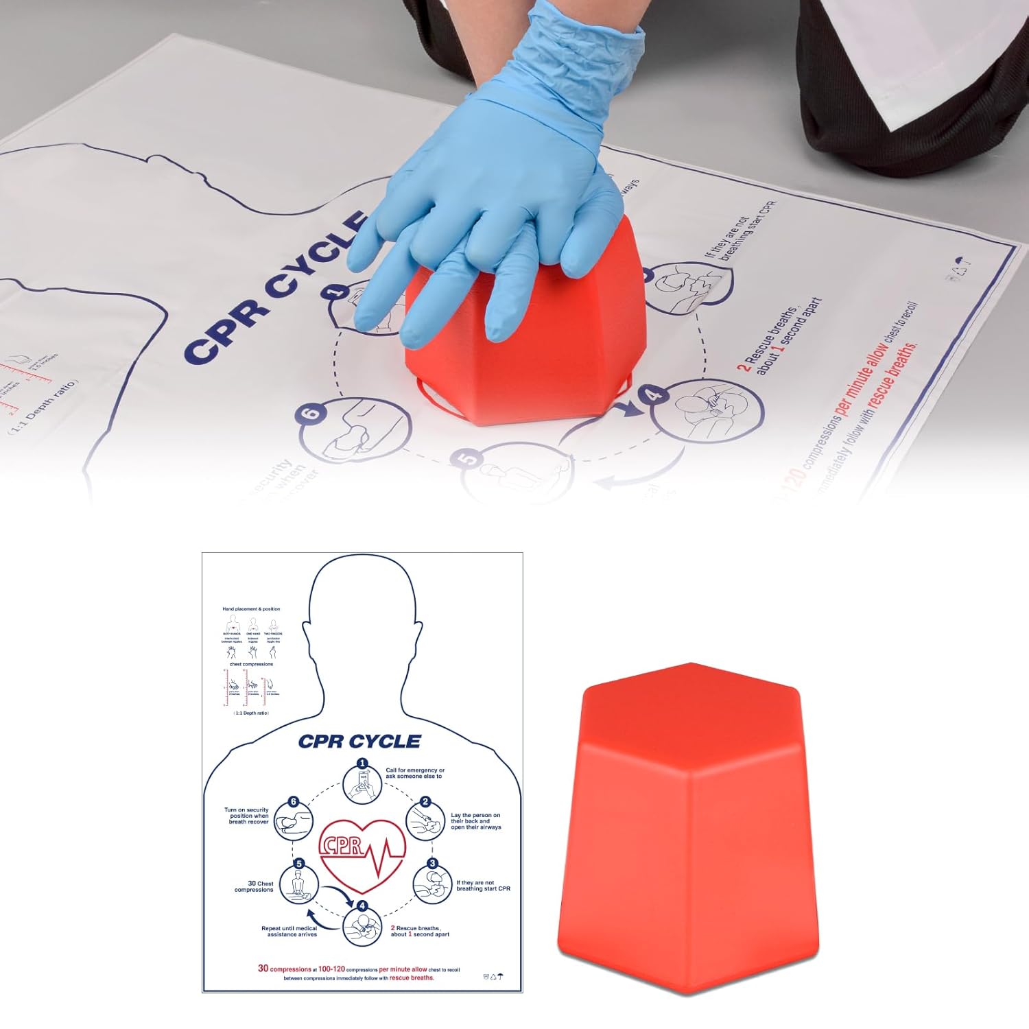 CPR Training Model for Hands-On Chest Compression Practice