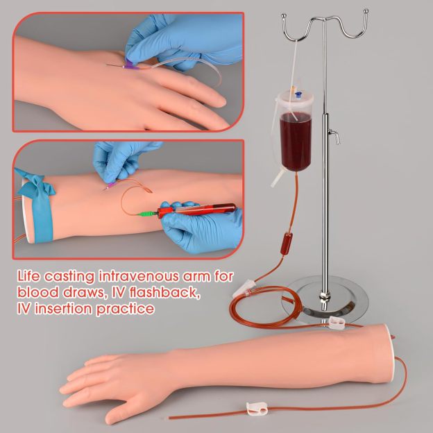 Using IV Training Arm for Venipuncture and Blood Collection