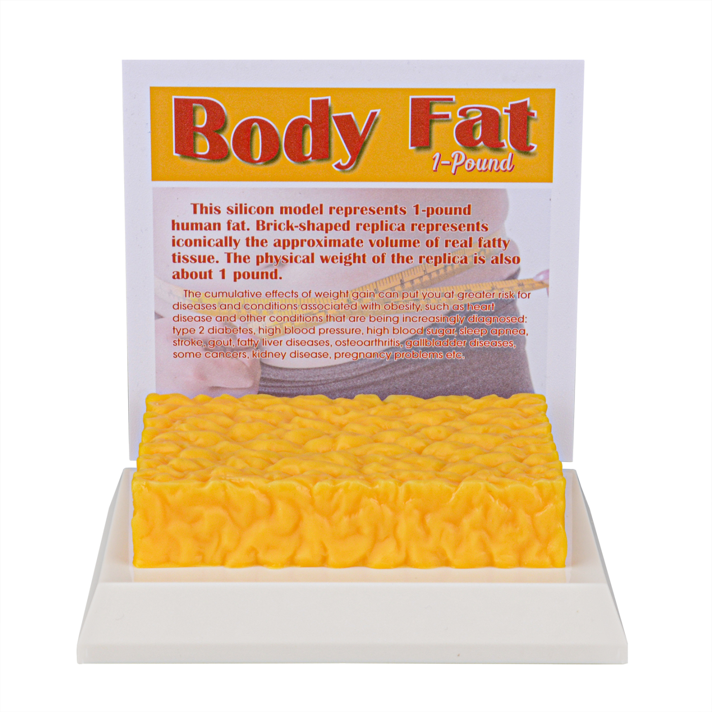1 lb Body Fat Replica, Brick-shaped