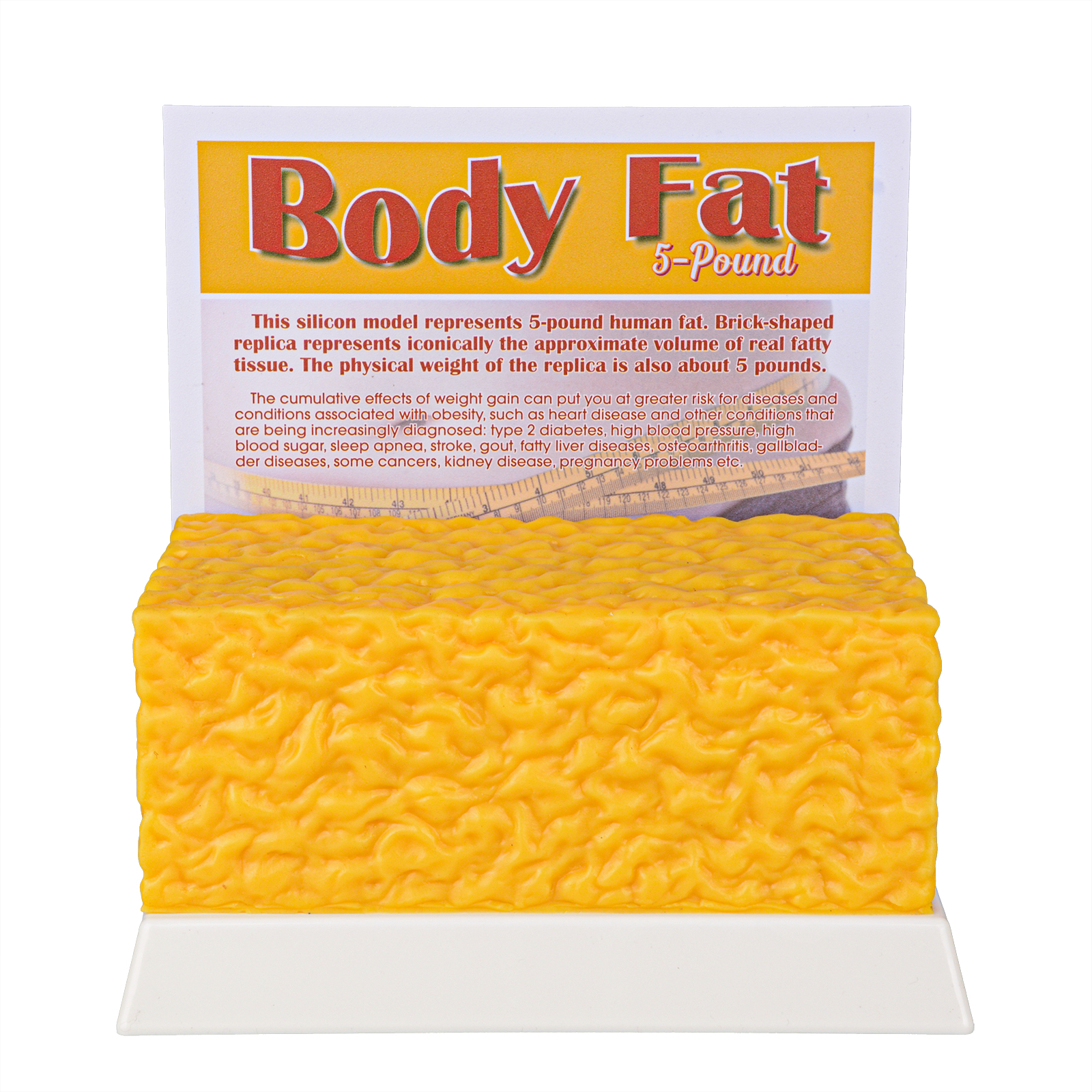 5 LB Fat Model For Weight Loss Motivation