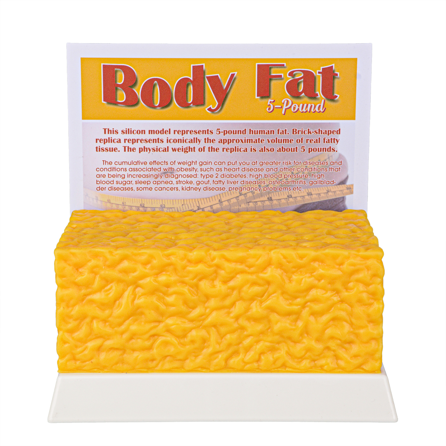 5 LB Fat Model For Weight Loss Motivation