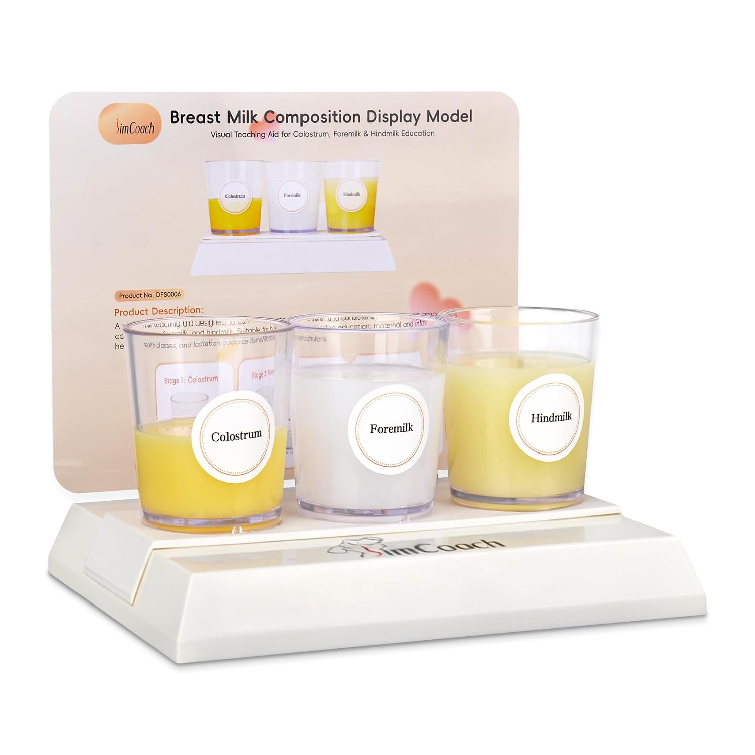 Multi-Stage Breast Milk Composition Model for Breastfeed Education