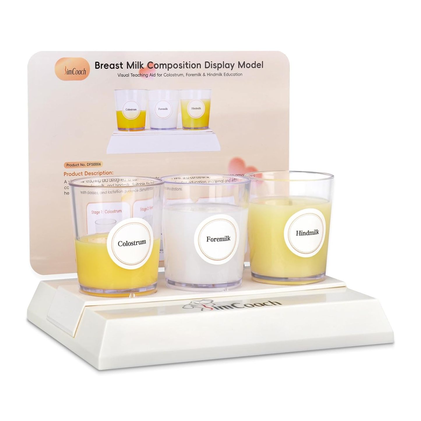 Multi-Stage Breast Milk Composition Model for Breastfeed Education