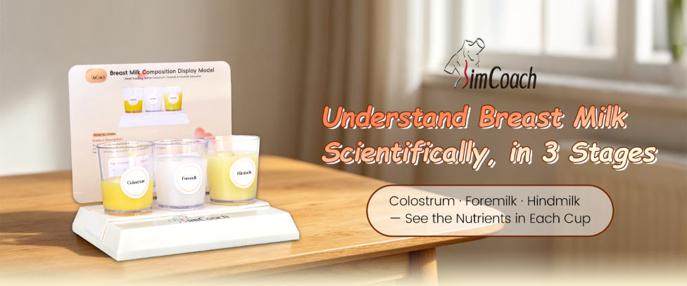 Colostrum vs Foremilk vs Hindmilk: Understanding the Three Stages of Breast Milk