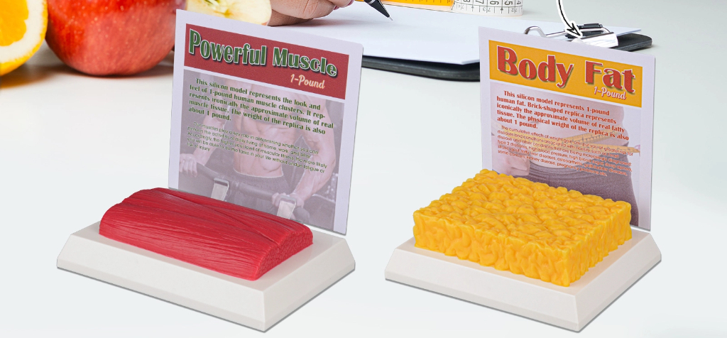 1 Pound of Muscle vs 1 Pound of Fat