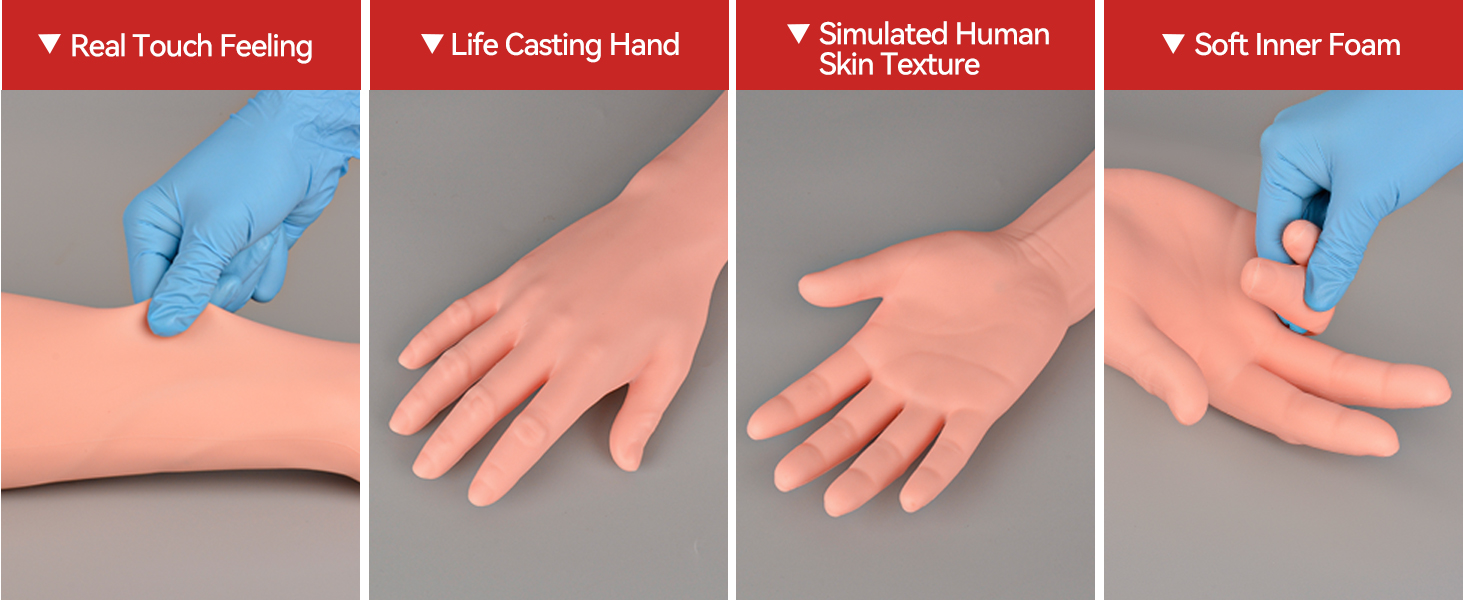 Life Casting IV Practice Arm