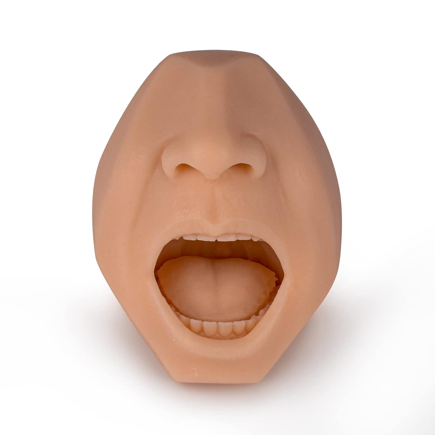 Nasal And Throat Swab Training Model (Medium Color)