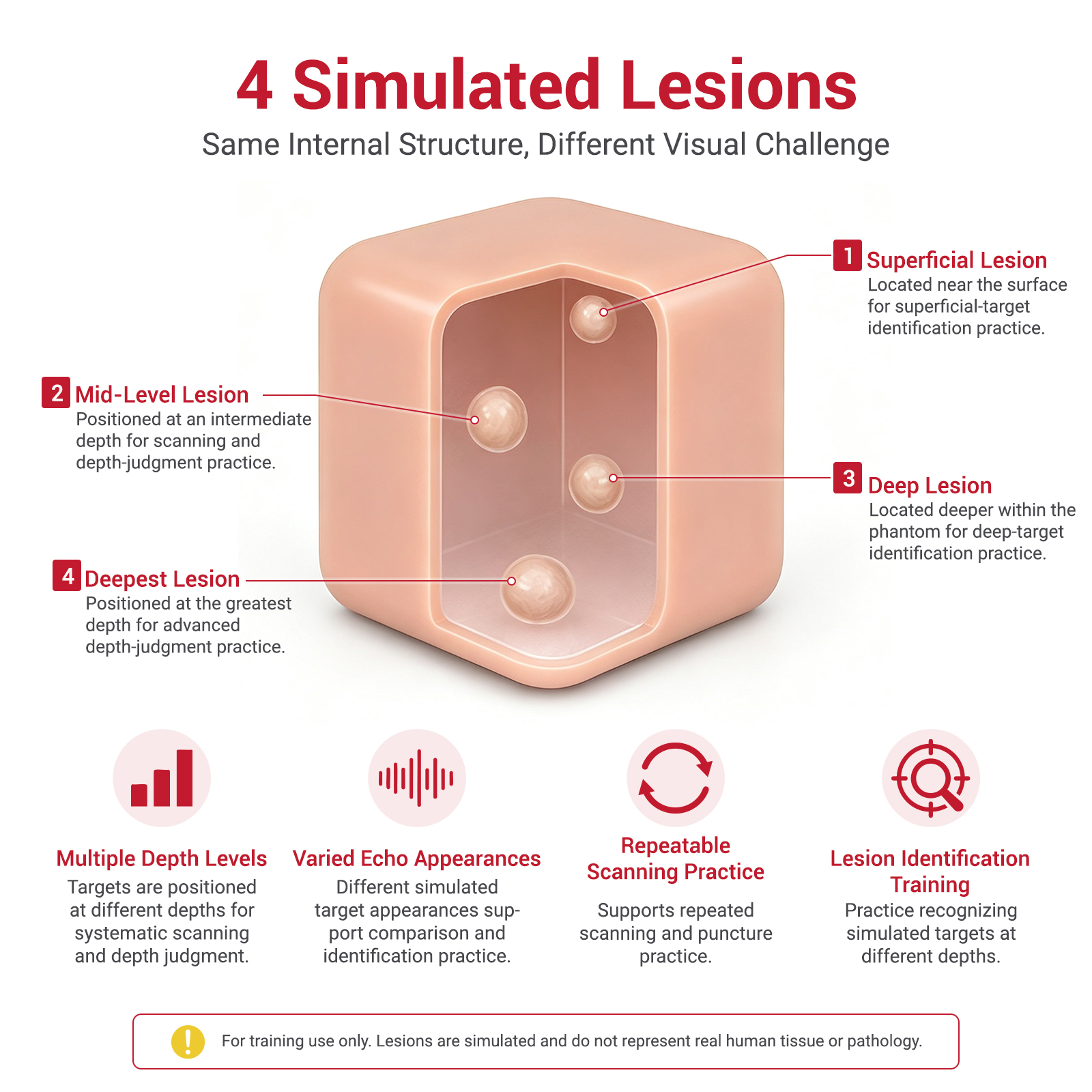 Ultrasound Biopsy Phantom Set for Lesion Detection & Needle Guidance