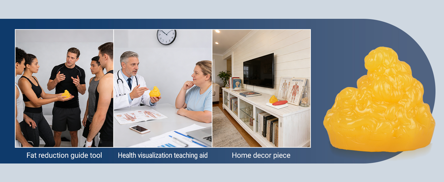 Human Fat And Muscle Replica Model Application Scene