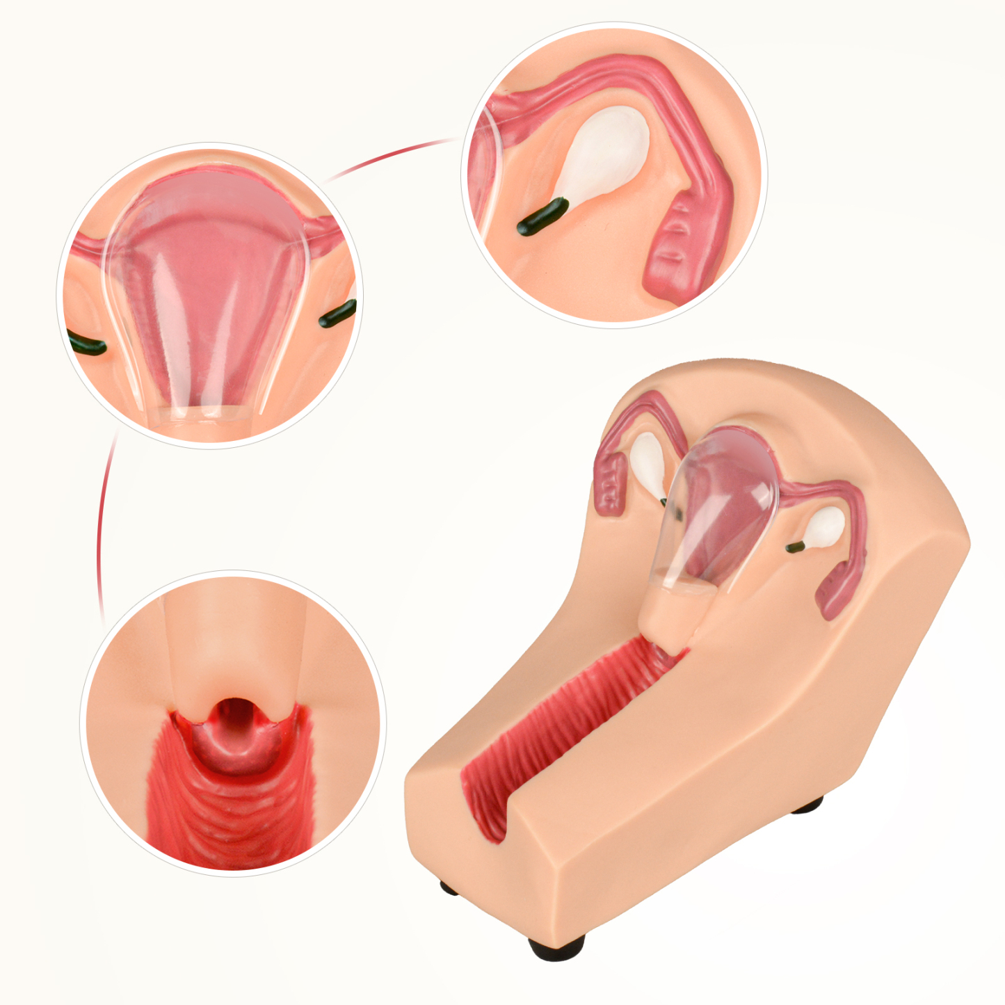 SimCoach Intrauterine Device Training Kit